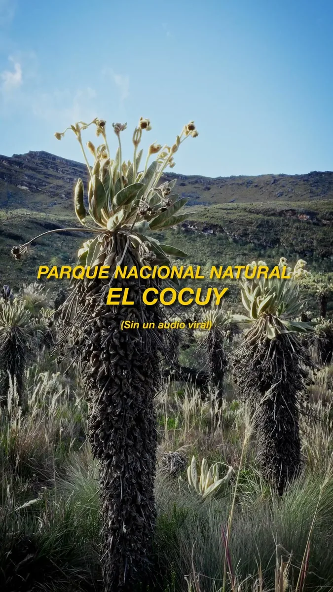 VulturTrek: El Cocuy